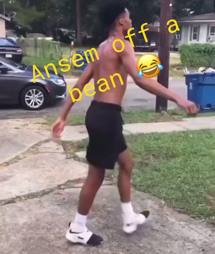 ANSEM logo