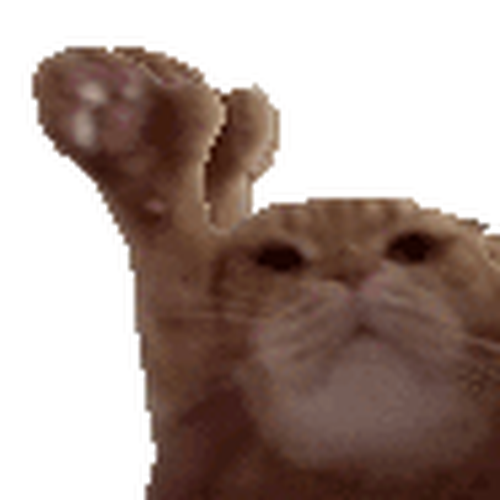 Yaycat