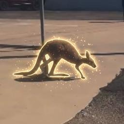 Bingus