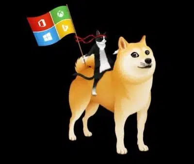 ninjacat