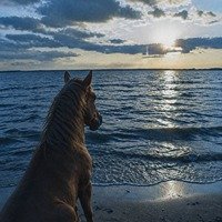 patience