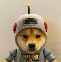 BOTINU