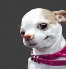 SMILEDOG