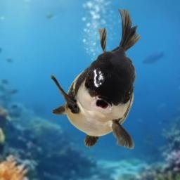 Dogfish