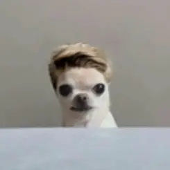 Daegi