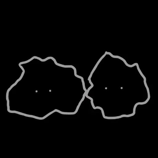 Rocks