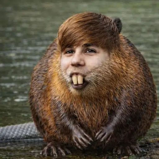 JustinBeaver