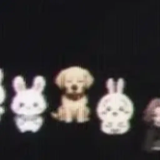 Pets