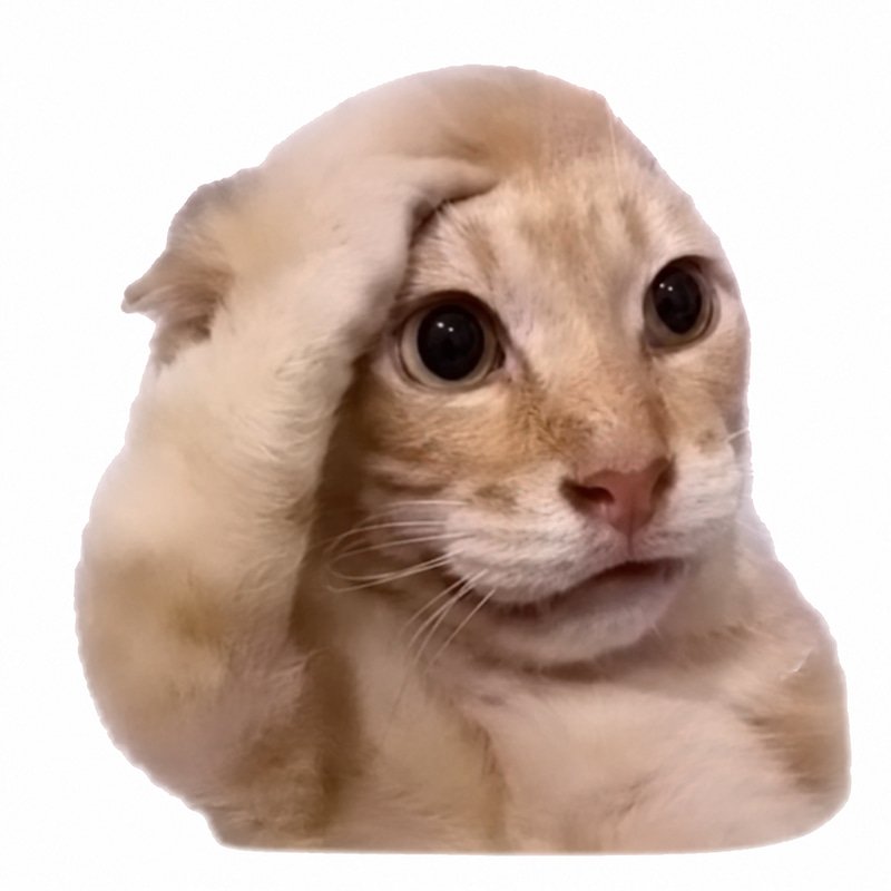 bruh