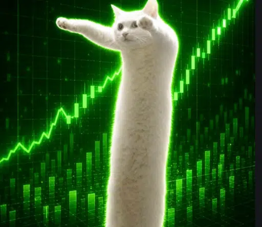 $Loongcat token logo