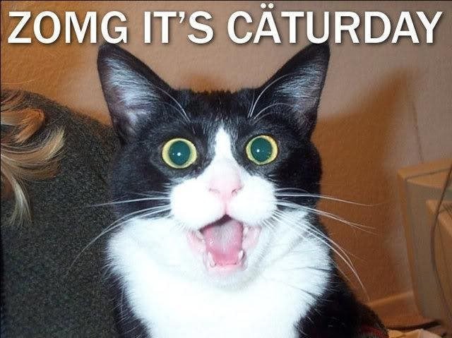 Caturday