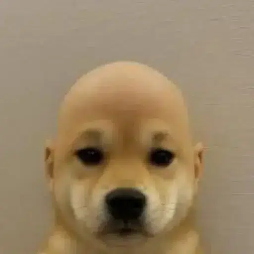 Wifout