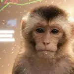 ape