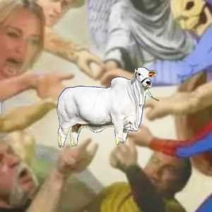 COW