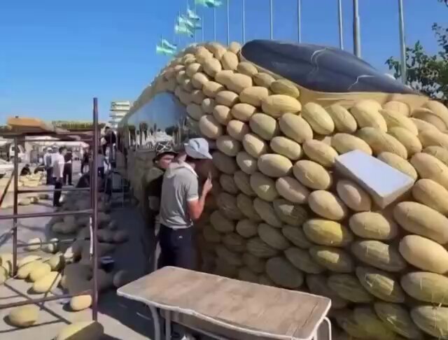 MELONTRAIN