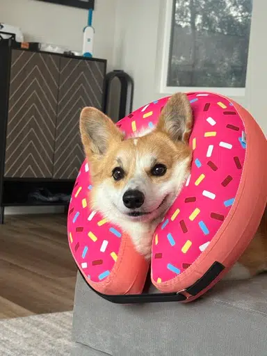 FINLEY