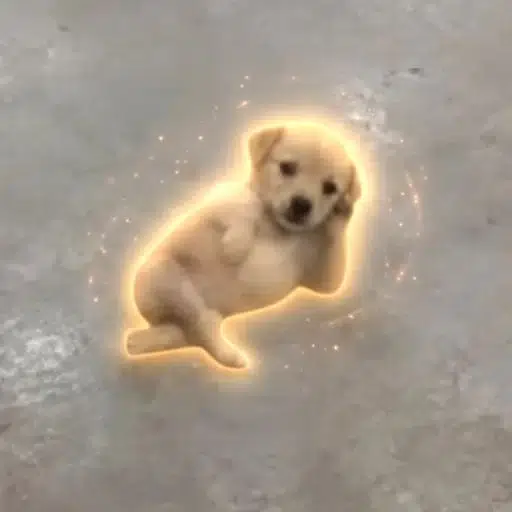 CHILLDOG