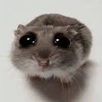 Hammy