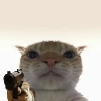 Gusic — Staring Cat Solana token traded by KOLs