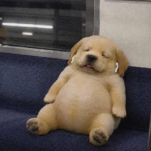 eeepydog
