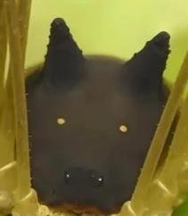 DARKINU