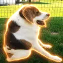 Cooper