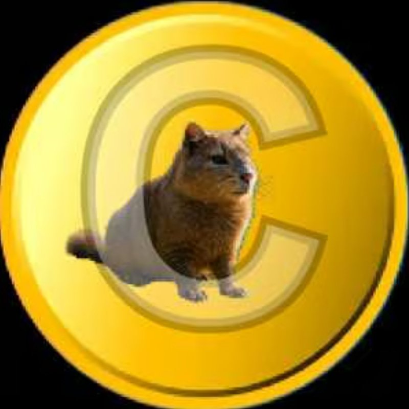 CATTYBARA