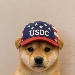 USDC