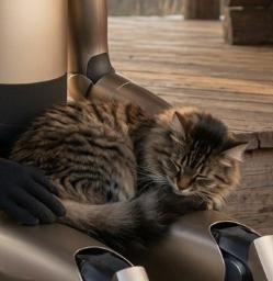 KITTY