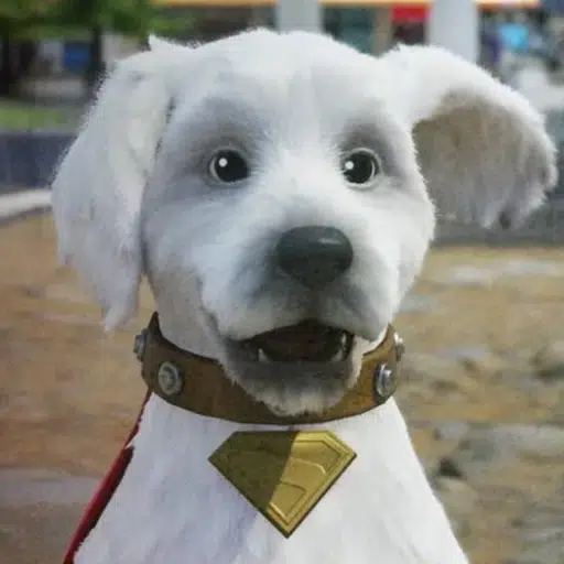 Krypto
