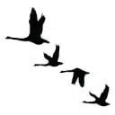 $WATERFOWL token logo