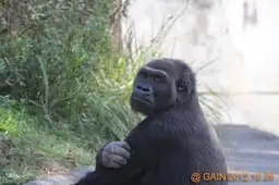 アイ