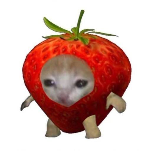 SCAT