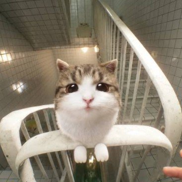 tinyyelly