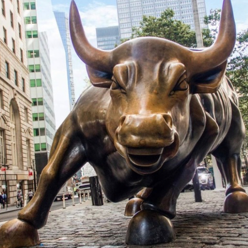 BULL