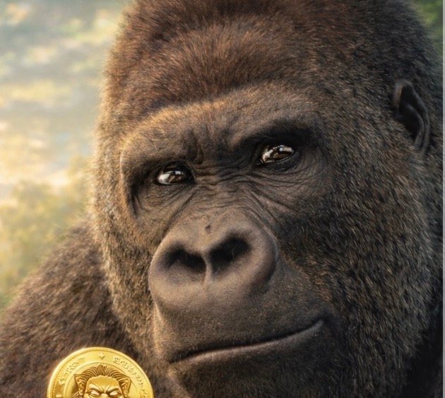 SHABANI