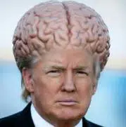 Quantnald