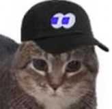 fomocat