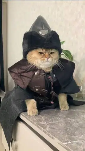 EFENDI