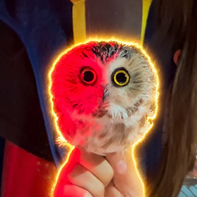 $smowl token logo