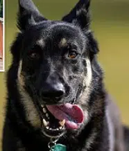MAJOR