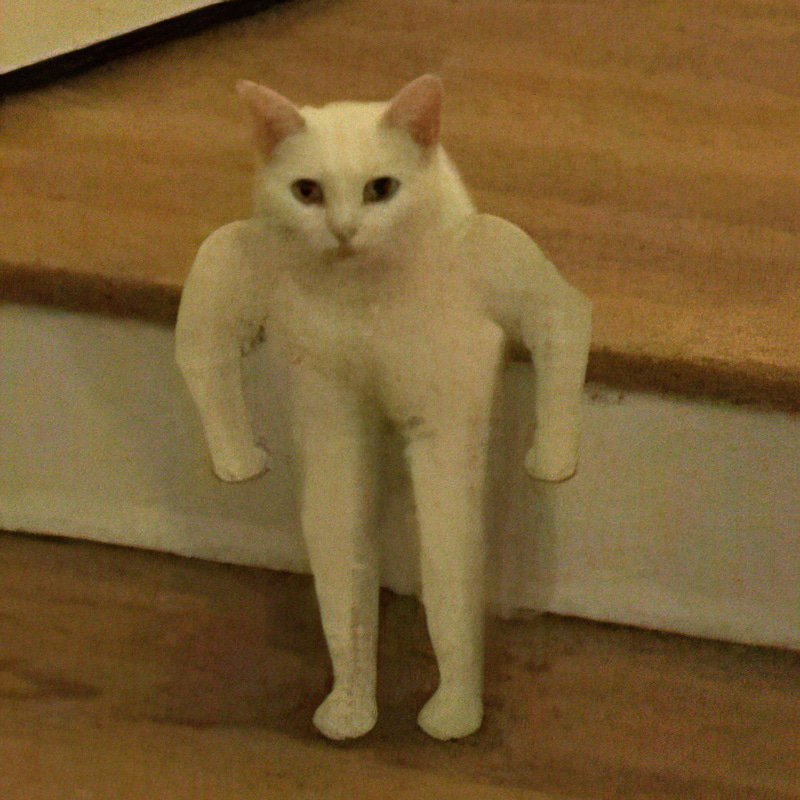 buffcat