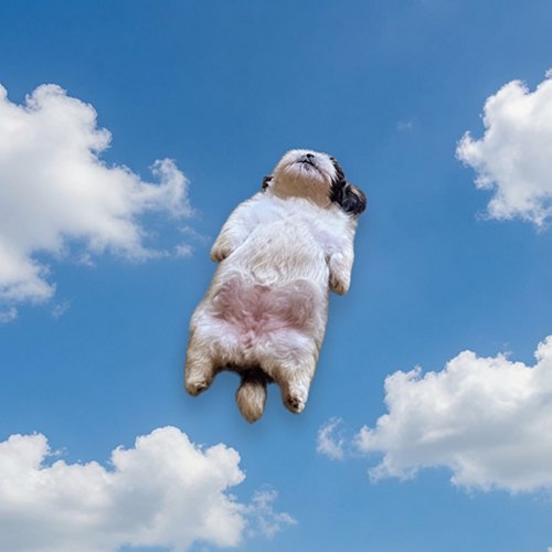 Paningning