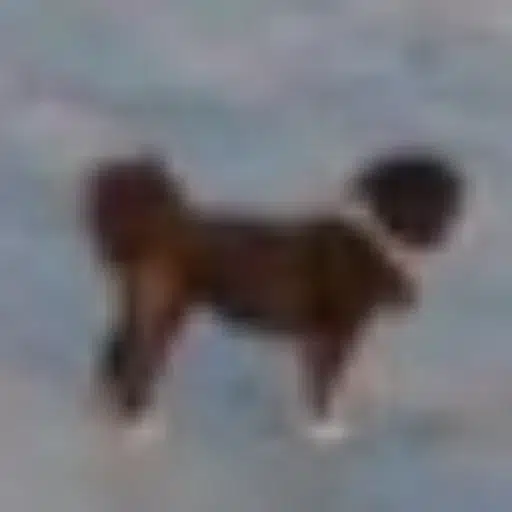 MARVIN logo