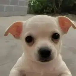 Goob