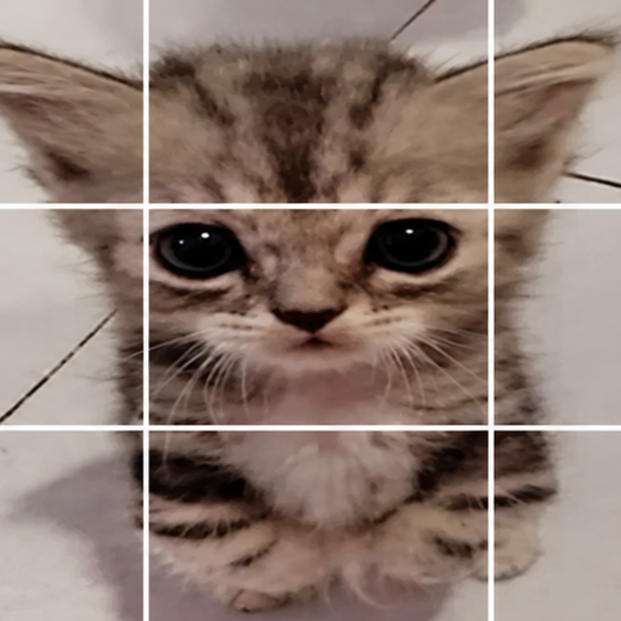CATCHA