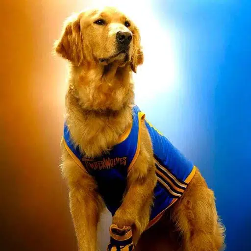 Buddy