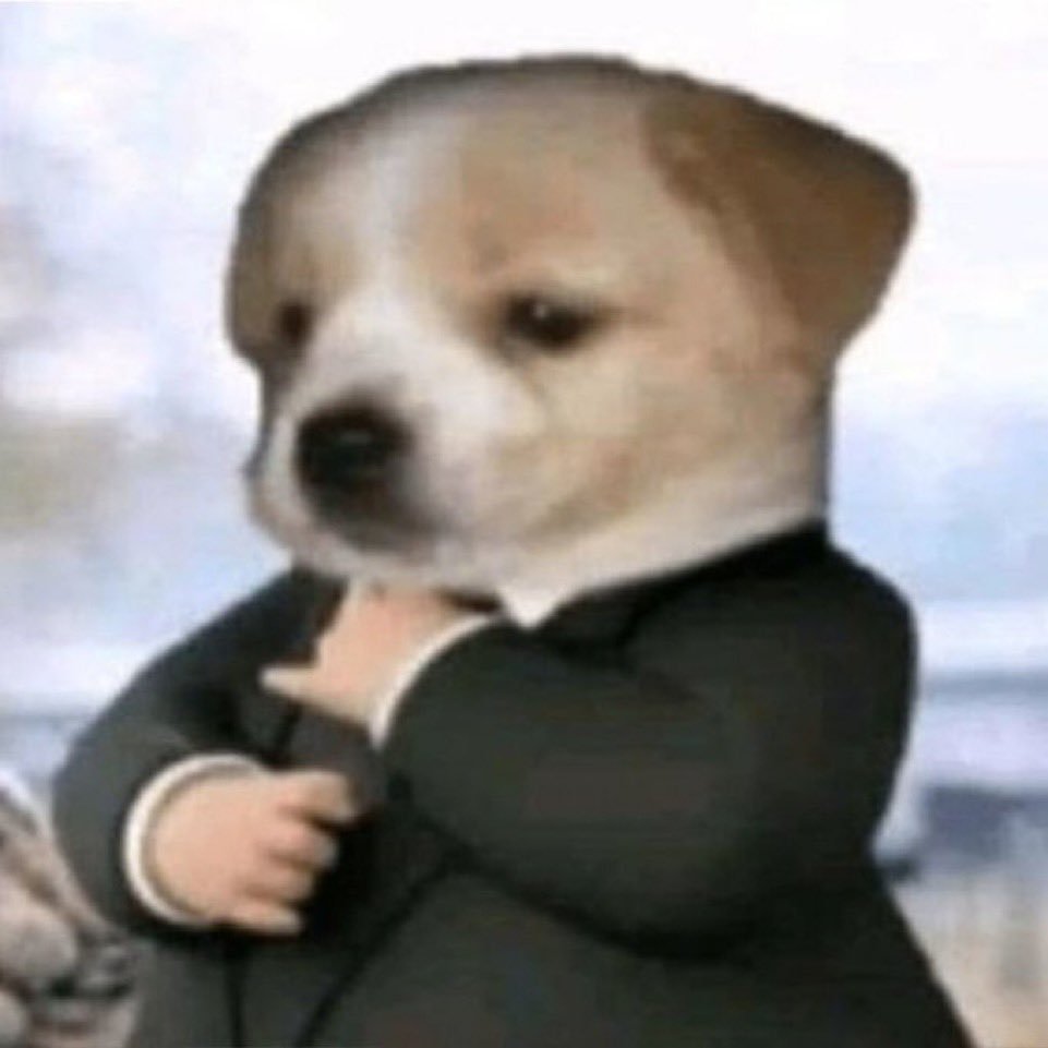 Suit