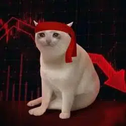 crashcat