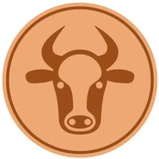 CATTLE